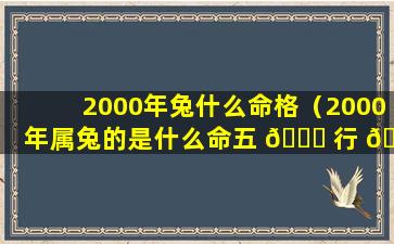 2000年兔什么命格（2000年属兔的是什么命五 🐋 行 🐧 ）